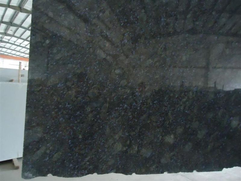 Butterfly Blue Granite Tile for Wall Decoration