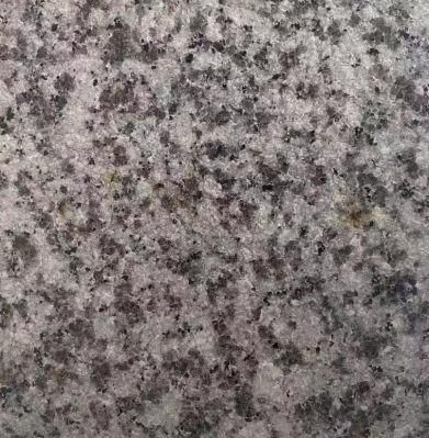 Cheap Stone Granite Slab with Dry Stone Layout for Office