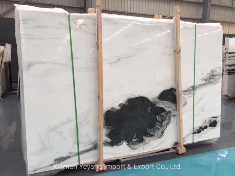 Building Material Panda White Marble for Kitchen/Countertop/Wall/Floor Tile