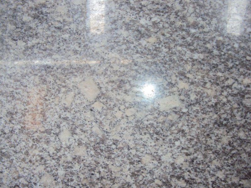 Natural Exterior Wall Stone Floor Tile Polished Flamed Design Black Dark Grey G654 Granite
