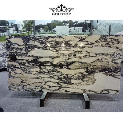 Building Material Natural Stone Polished/ Honed Surface Bathroom/Kitchen /Living Room Countertop Calacatta Violet Marble for Home