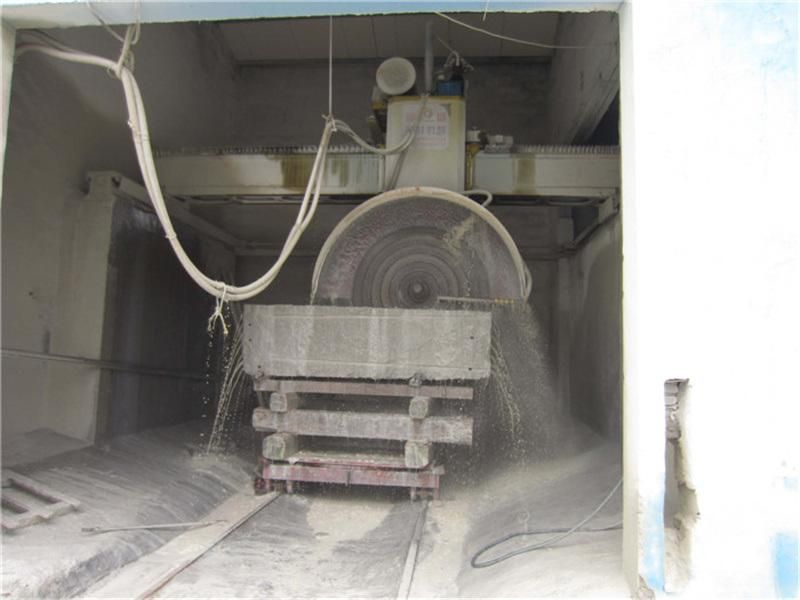 Factory Direct Selling Grey Granite G361 Natural Stone Slab