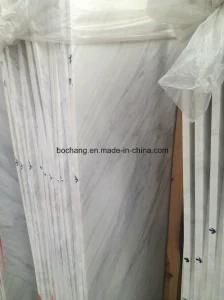 Calacatta Gold Marble for Polished Honed Tile Slab