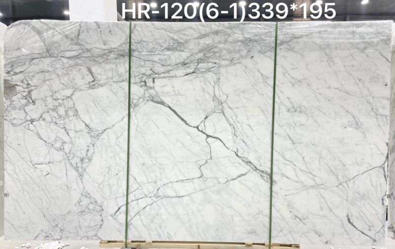 Nautral White Marble Calaeatta Slab Tiles Table