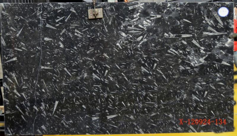 High Polished White/Black/Grey/Beige/Brown/Green/Red/Wooden Marble Slab