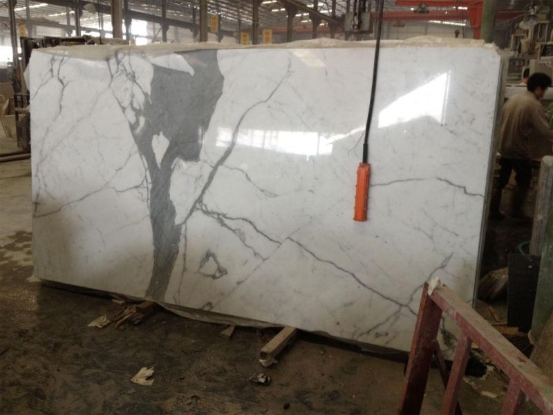 Calaeatta White Stone Marble for Flooring Tiles Slabs Countertops/Worktops/Vanitytops