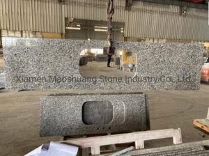 Swan Grey Goose Grey Popular Cheap Granite Countertops Kitchen Worktops