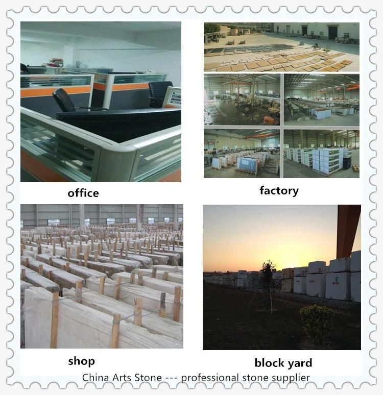China Platimun White Grey Marble Slab Orina Slab