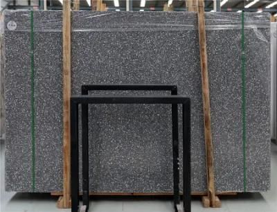 New Building Material Terrazzo Tile for Hotel/Mall/Bank/Lab Project