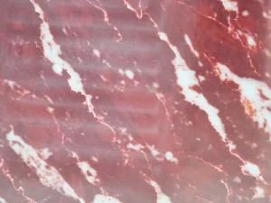 Quartz Slab for Kitchen Countertop and Floor Tiles
