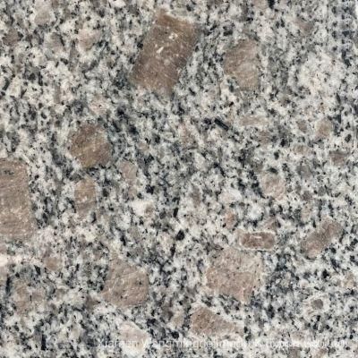 off-White Pearl Flower and Rich Texture Granite with High Cost Performance Granite Use for Kitchen Countertop, Bathroom Tops, Bar Tops