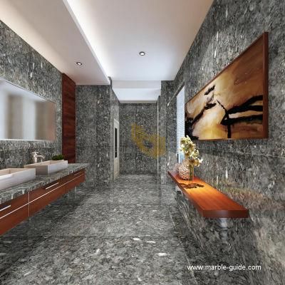 Natural Silver Pearl Grey Granite for Kitchen Countertop/Worktop/Coffee Table/Bath Top/Benchtops/Kitchen Island