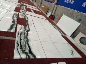 Panda White Marble