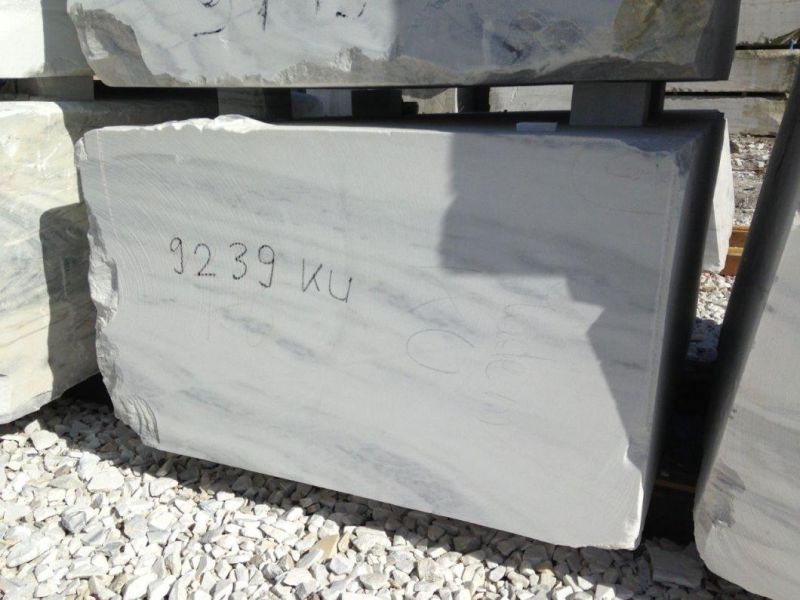 China Top White Granite/Bianco Lasa Granite/White Granite for Floor/Background
