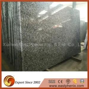 Chinese Spray White Granite Paving Slab Building Materials Peninsulas Counter-Top Granite