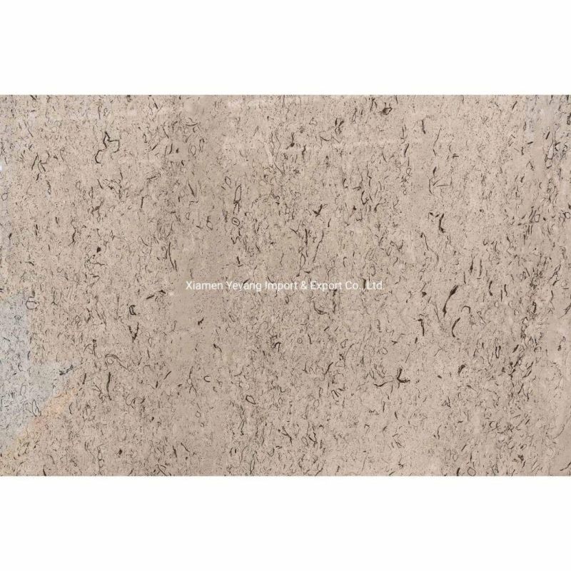 Marble Tile/Countertop/Worktop/Vanity Kitchen Marble Slab Floor