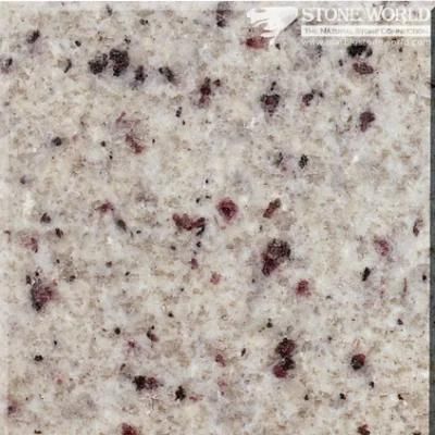 Polished Regina White Granite Tiles for Flooring &amp; Wall (MT026)