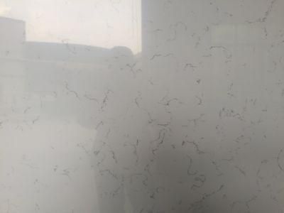 Indoor Decoration Artificial Carrara Quartz Stone for Bathroom Vanitytop