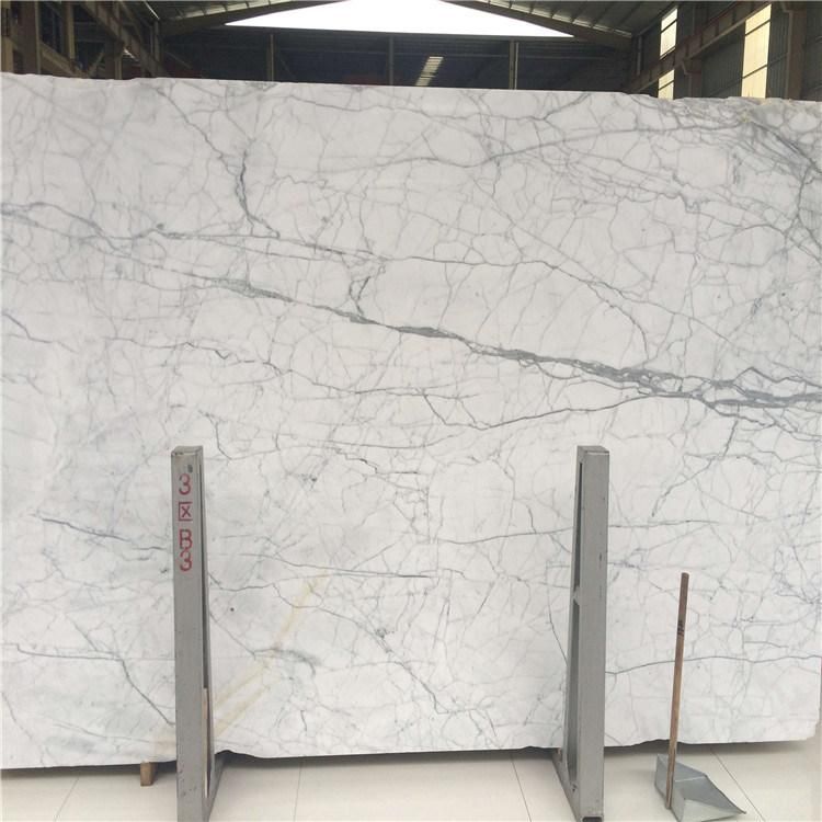 Italy Marble Statuario Marble Slab and Tiles