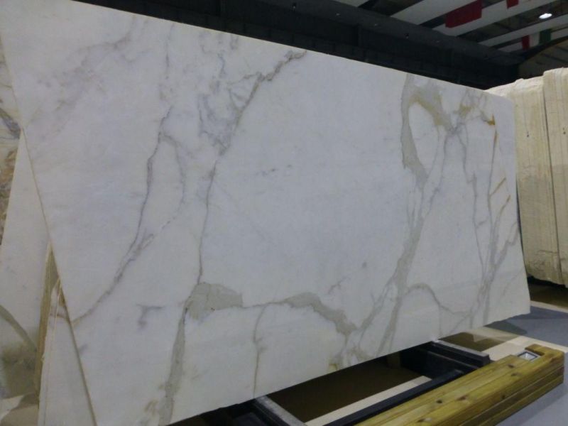 Calacutta Gold Marble Slab Marble Tile for Wall/Floor Cladding/Bathroom Countertop