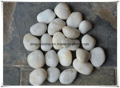 Quality Beautiful Polished White Round Pebble Stone