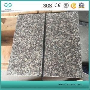 G664/Chinese Granite/Red Granite/Pink Granite for Slab/Tile/Vanitytop/Countertop
