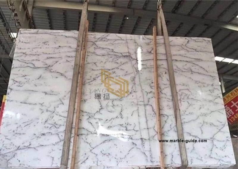 Natural Stone Centalla White Marble for Tile/Slabs/Flooring/Column/Table Countertops Building Material