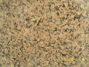 Imported Granite Merry Gold for Tiles/Countertops/Kitchentops/Hotel/Building Materials