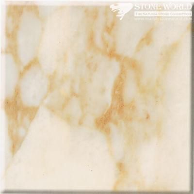 Polished Calacatta Macchia Oro Marble Slabs for Flooring &amp; Wall (MT091)