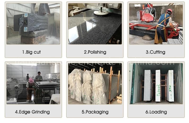 Black Gold Flower Granite for Countertop /Kitchen Countertop