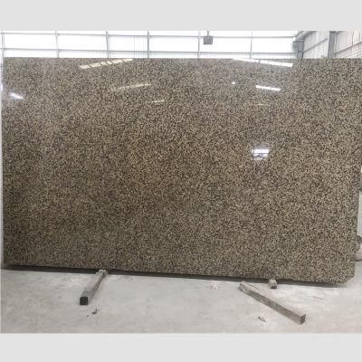 Hot Sale Natural Polished Chrysanthemum Yellow Granite Slabs for Countertop/Flooring/Wall/Tiles/Paving