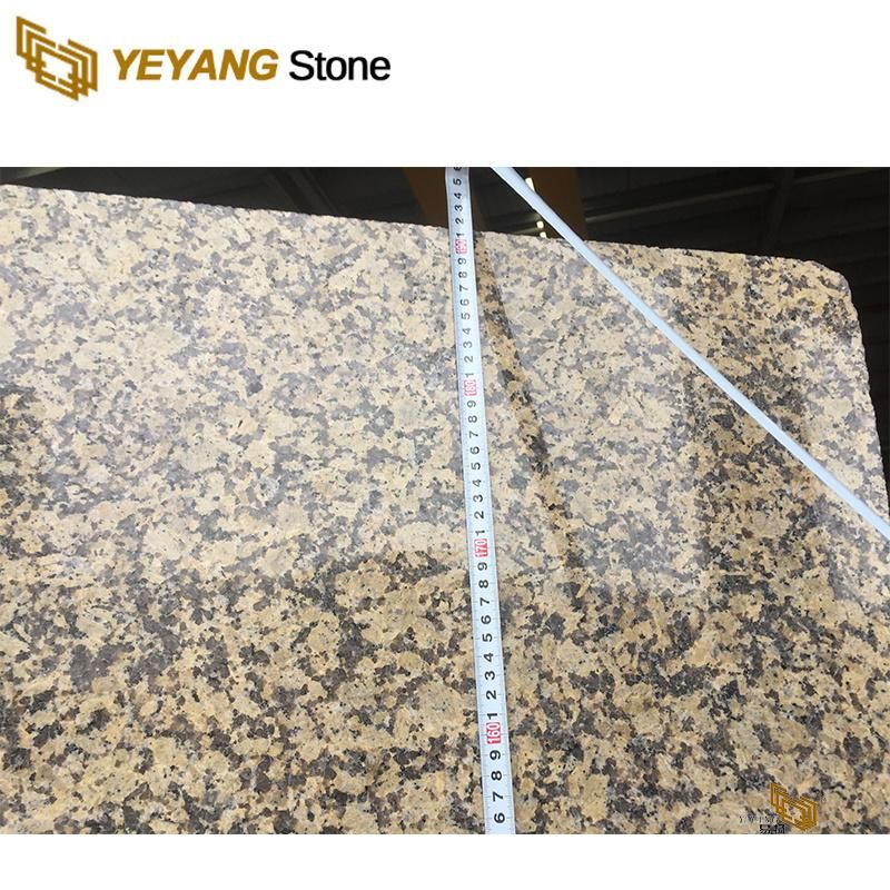 Natural Stone Tile/Slabs Kitchen Granite Flooring/Backgound/Countertop/Worktops/Vanity Top Granite Supplier Factory