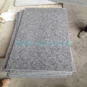Hot Sales G633 Flooring Tiles, G633 Flooring Tile
