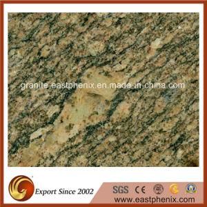 Imported Calefornia Gold Granite Stone Wall/Kitchen Tile