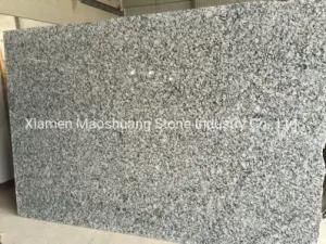 White Mist Seawave Flower White Granite Big Slabs 180upx280up Cm
