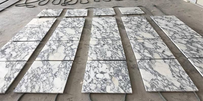 Polished Arabescato White Marbe Tile for Interior Wall Flooring Design