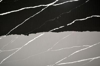 Two Color Shades Calacatta White Veined Neat Countertops Quartz Stone