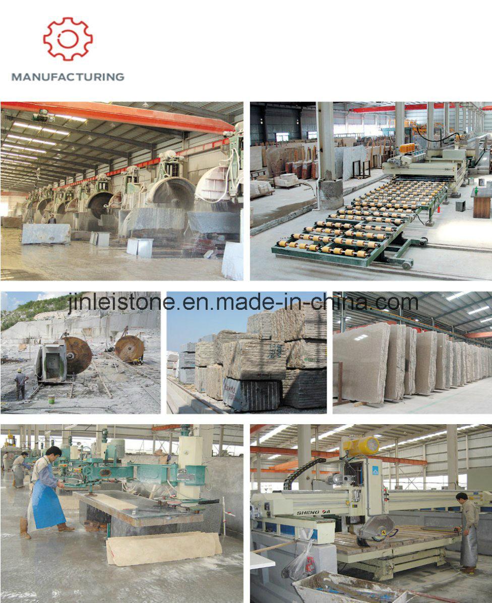 Factory Price Rosa Pink /Red /Beige/Colourful Red Polished Granite Slabs for Countertops/Floor Tiles