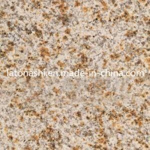 Polished G682 Yellow Granite for Flooring Tiles/Slab/Countertop/Wall Cladding
