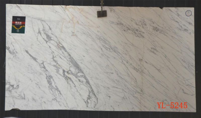 Snow White Polished Marble Slabs for Interior Flooring Wall Decoration