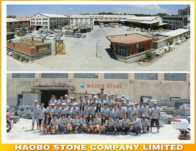 spray White Granite Polished