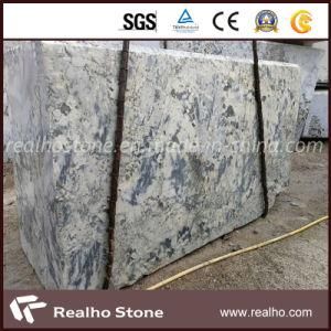 India Snow White Granite for Flooring Tiles