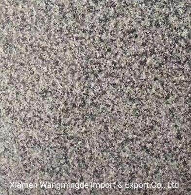 Litch Surface Granite for Stair Floor Walls