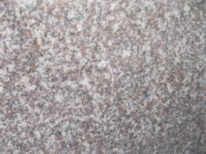 Chinese Red Granite G664 for Flooring Wall Slab Tiles