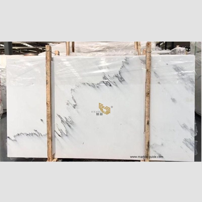 Natural Ink White Marble Stone Tile/Slab for Flooring/Bathroom/ Shower Wall/Vanity Tops/Flooring/Background