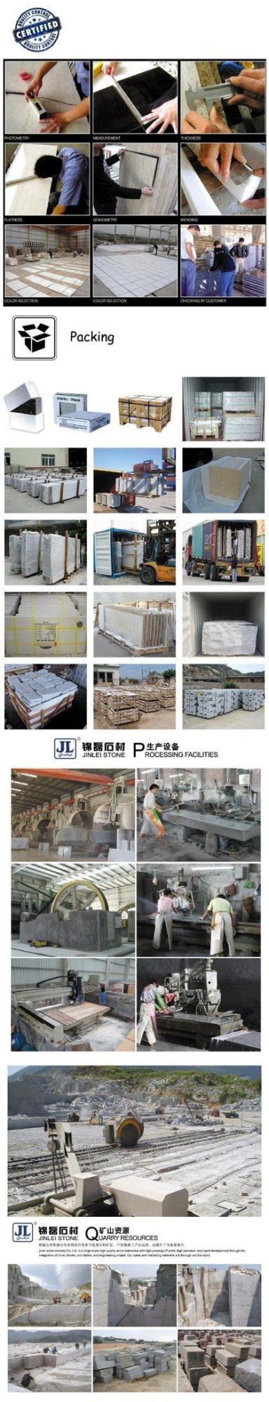 New Dark Grey G654 Black Granite/ Flooring/Wall Cladding/Stairs/Steps/Pool Coping Stone Tile Paving Stone