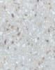 mm849 Mountain Ridge 12mm Thickness Pure Acrylic Countertop for Kitchen