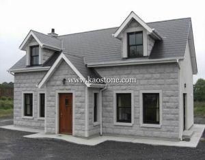 Popular Marble Granite for Slab/Tile/Step/Stair/Countertop