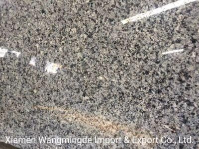 Quarry Owner Competitive Price Polished Granite for Kitchen Countertops