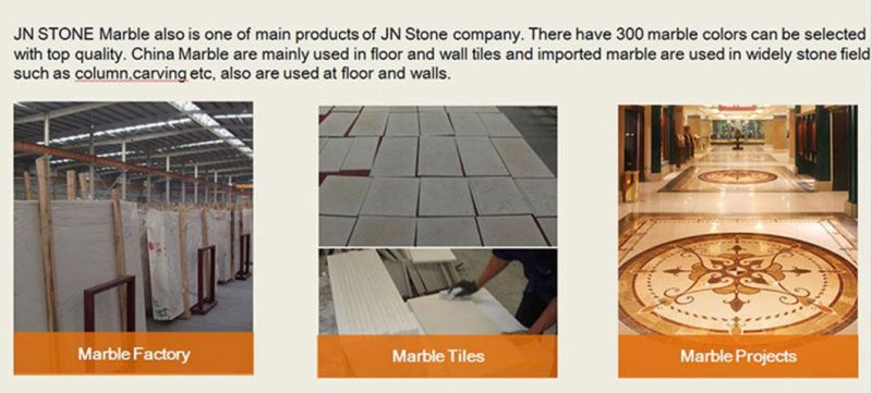 Building Material Wall Tile Sofita Gold Beige Types of Marble for Decoration